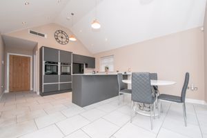 THE CONIFERS- click for photo gallery